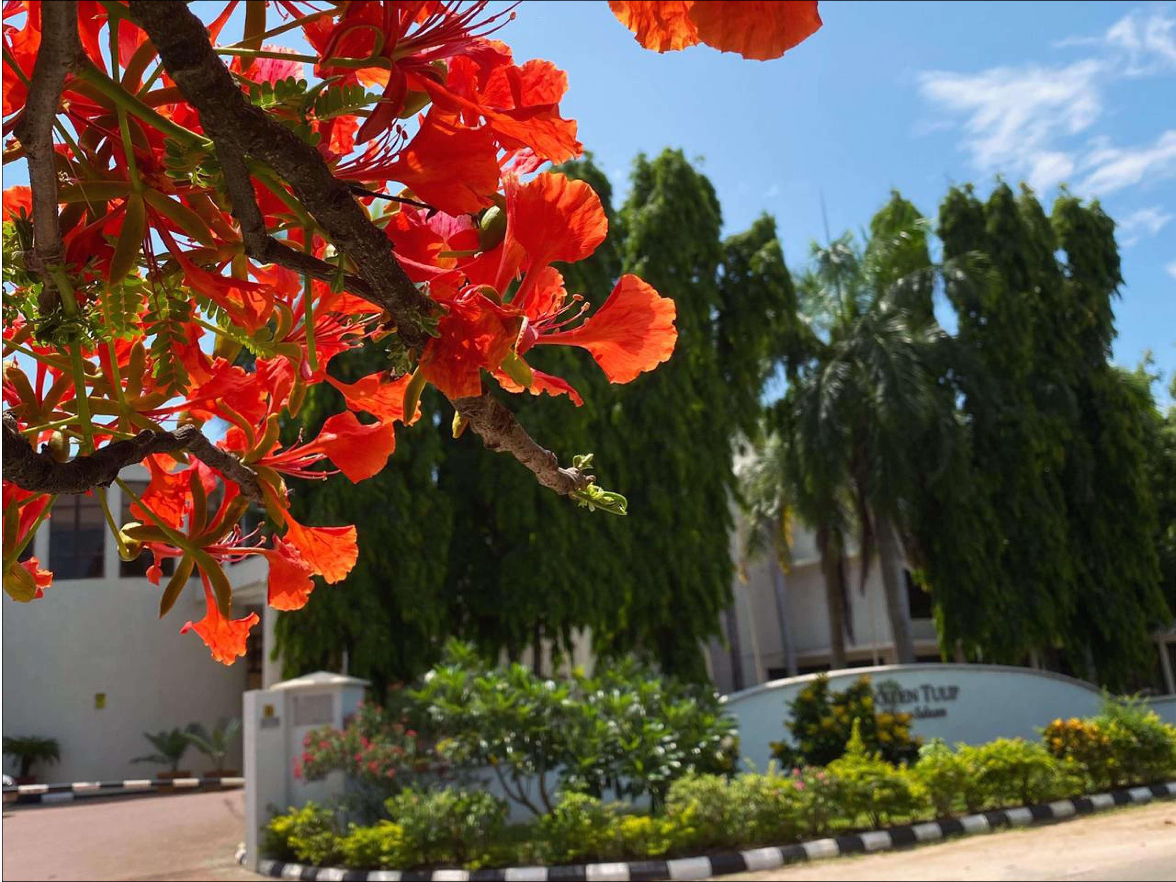 Golden Tulip Dar Es Salaam Hotel Exterior foto
